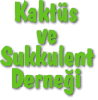 Genel Kurul Toplantısı